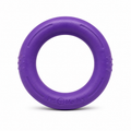 Pet Monkey Durable Dog Ring Toy – Heavy Duty Chew & Fetch Ring for Dogs, Non-Toxic Rubber, Interactive Training Toy (Purple)