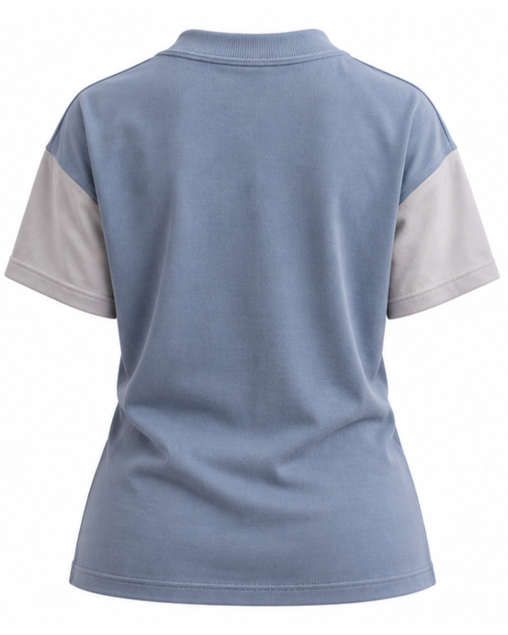 Back view of the glacier blue relaxed T-shirt with grey sleeves